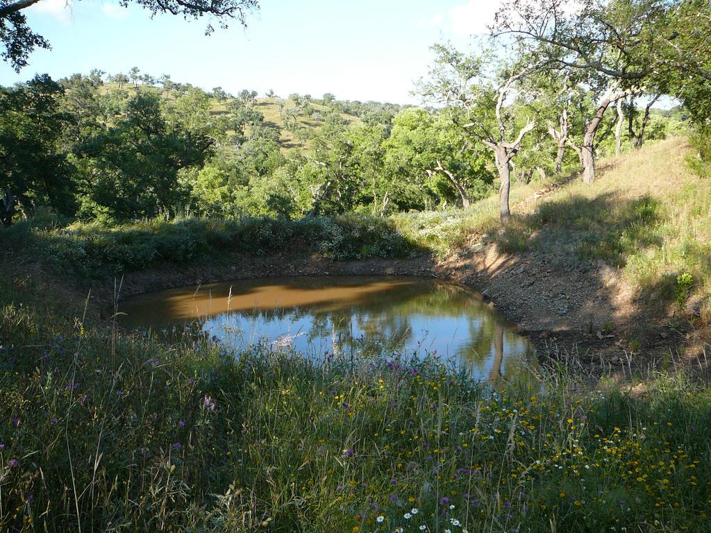 Monte Da Ameira Roncão Dış mekan fotoğraf